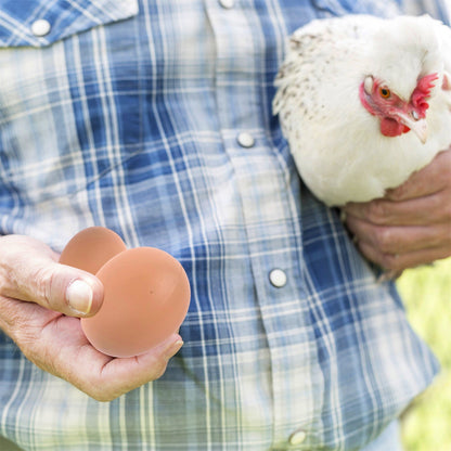 Simulacija lažnih jaja