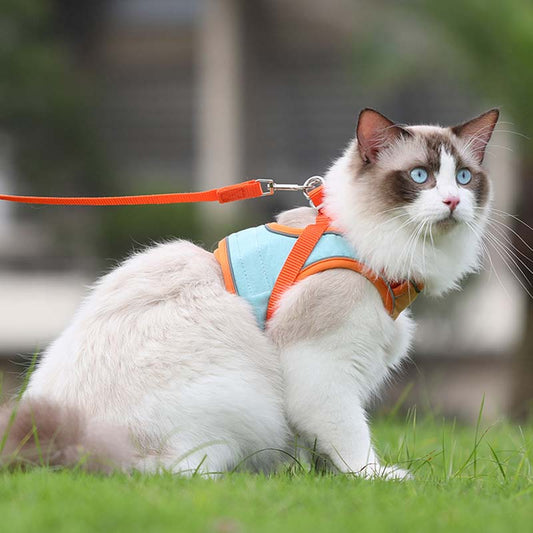 🐱Odsevni povodec za mačke s funkcijo proti pobegu✨Zaščita pred izgubo + zaščita pred trčenjem + nočna varnost! 🐾✨