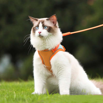 🐱Odsevni povodec za mačke s funkcijo proti pobegu✨Zaščita pred izgubo + zaščita pred trčenjem + nočna varnost! 🐾✨