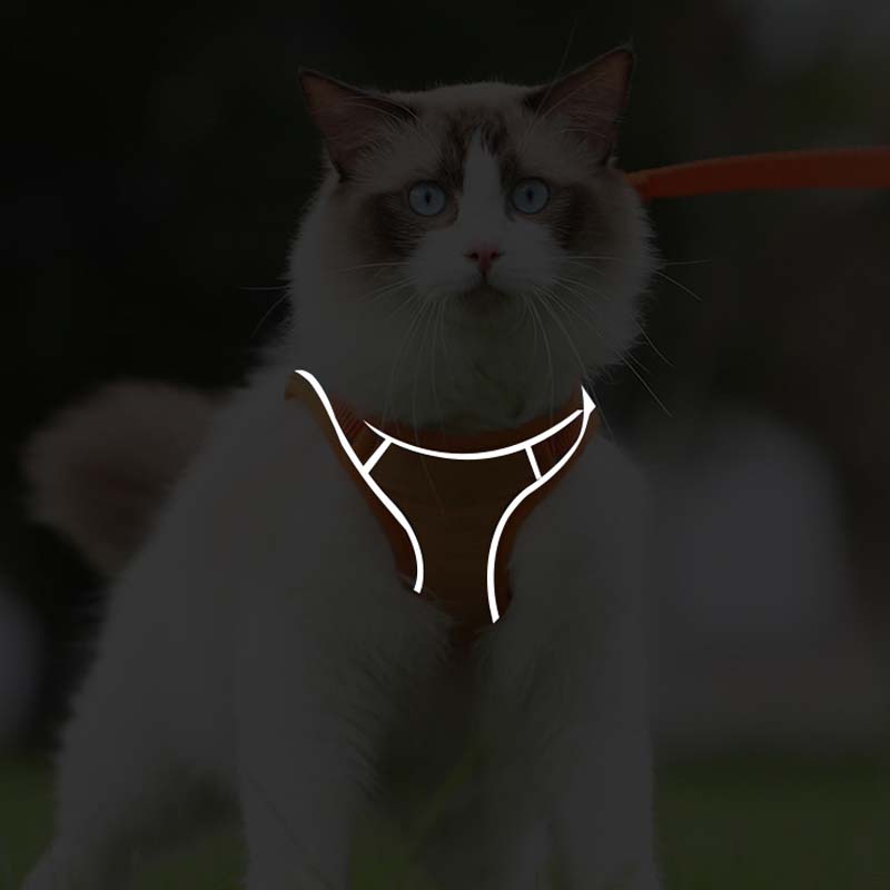 🐱Odsevni povodec za mačke s funkcijo proti pobegu✨Zaščita pred izgubo + zaščita pred trčenjem + nočna varnost! 🐾✨
