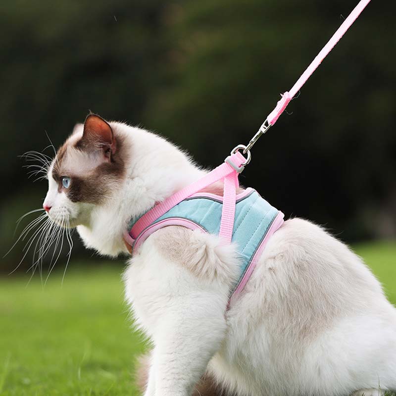 🐱Odsevni povodec za mačke s funkcijo proti pobegu✨Zaščita pred izgubo + zaščita pred trčenjem + nočna varnost! 🐾✨