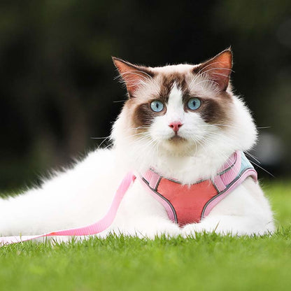 🐱Odsevni povodec za mačke s funkcijo proti pobegu✨Zaščita pred izgubo + zaščita pred trčenjem + nočna varnost! 🐾✨